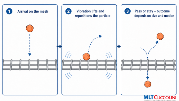 Three-stage sequence of the mechanical screening process: particle arrival on the wire mesh, interaction with vibration, and final separation with passage through the mesh or transport across the screen surface.