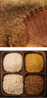 Cereal grains in a woven basket and assorted grains displayed in a four-compartment wooden tray.