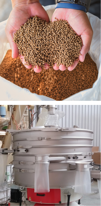 Hands holding fish feed pellets