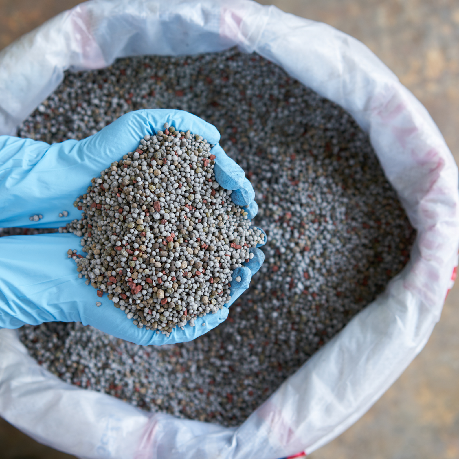 Worker holding granular grass fertilizer before vibrating sieve classification process.