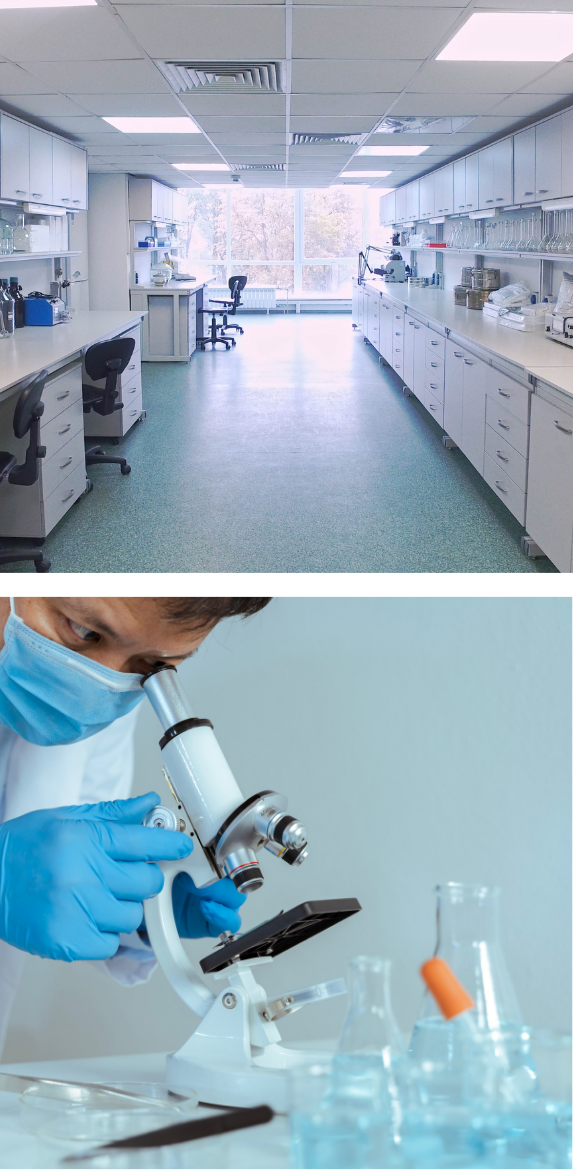 A bright, modern scientific laboratory with long white workbenches on both sides, lined with cabinets, glassware, and laboratory equipment. Large windows at the far end let in abundant natural light, creating a clean and organized workspace. Below, a close-up shows a researcher wearing a face mask and blue gloves carefully looking through a microscope, with laboratory flasks and glassware blurred in the foreground, conveying scientific research and experimentation in a professional lab setting.