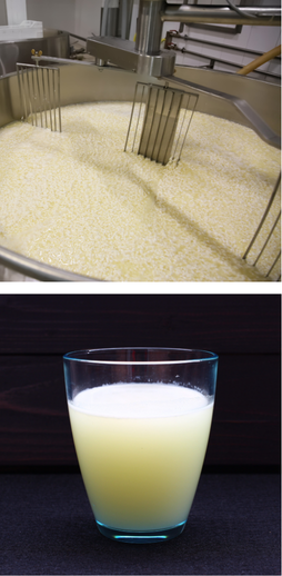 Cheese curd vat and liquid whey requiring micro filtration